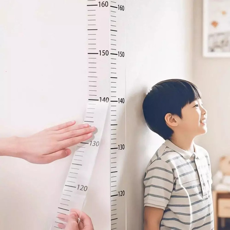키재기 스티커 시트지 키측정 눈금자 200cm DD-13194 Height Measurement Sticker