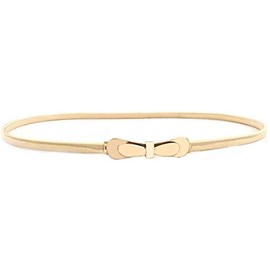 Galsawi Skinny Waist Band Cinch Belt Waistband Elastic Waist Belt Metal Dress Belt Waist Chain Belt 1cm Wide