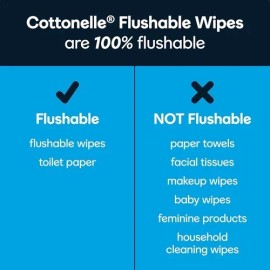 Cottonelle FreshFeel Flushable Wet Wipes for Adults and Kids, 8 Flip-Top Packs