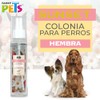 Fancy Pets Colonia Premium para Hembra - Sunset, 140 ml