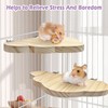 Hamiledyi Wooden Hamster Cage Platform Set 4Pcs Bird Wood Platform