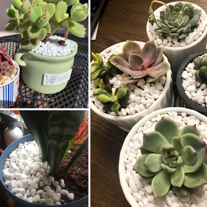 White Pebbles for Plants Garden Vases 7 lb White Rocks