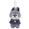 ZXHBPPBF Stray Kids Plush Keyring 10 cm Stray Kids Anime