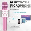 Niskite Karaoke Microphone – Play/Record – Bluetooth – Voice Changing