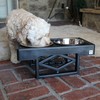 Pet Zone Elevated Dog Bowls Designer Diner 3 Height Adjustable