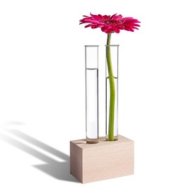 Tuuters Wooden Test Tube Vase - Modern Table Decoration Including High Quality Test Tubes (Bech 2-Hole)