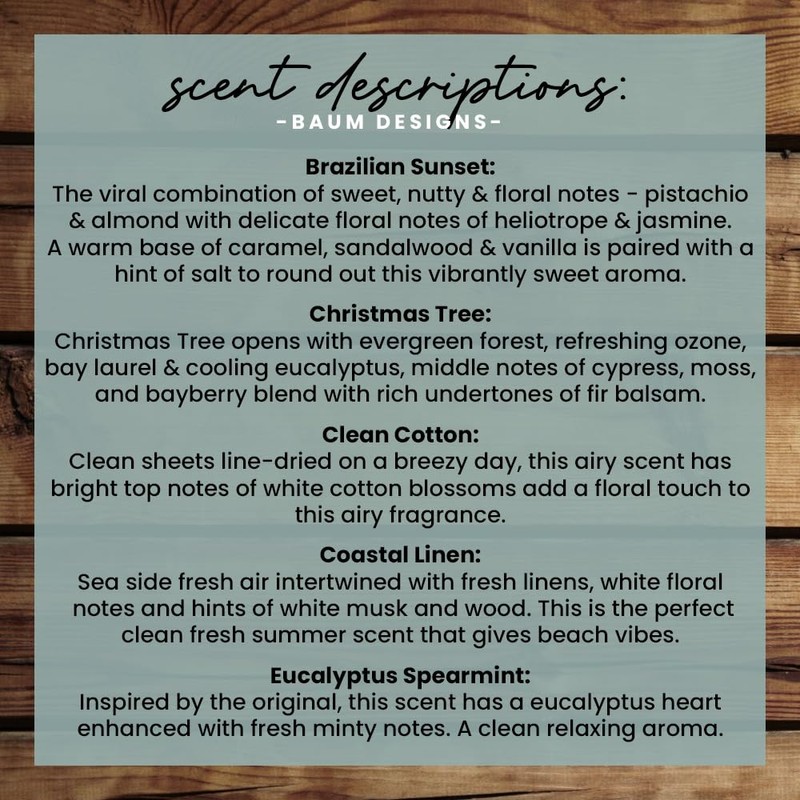 Jacob Elordi's Bathwater Soy Candle - 16.5oz