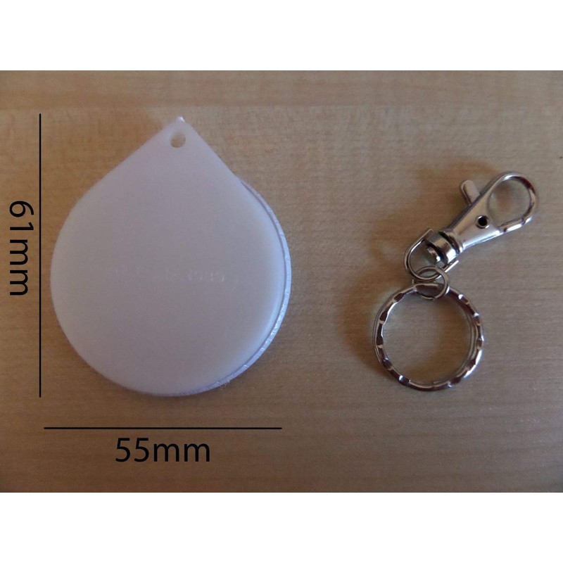 I Love My Bearded Dragon - 55mm Button Badge Key