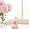 Doll Face Mask Cover with Elastic Band, Acrylic Transparent Toy