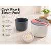 Microwave Rice Cooker for Portable Use - Multifunctional Steamer Bento