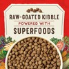 Stella & Chewy's SuperBlends Raw Coated Wholesome Grains Puppy Cage-Free
