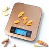 Zassenhaus - Báscula digital de cocina pura, 23,6 x 17,5