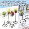 NABESHI Air Plant Folder, Air Plants, Stand, Air Plants, House