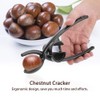 Cunyuer 2 in 1 Chestnut Cutter Tool, Nut Cracker Tool,