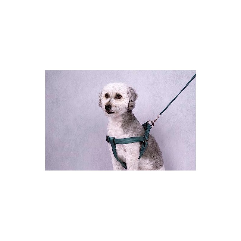 Step&Go Ziggi Harness Dark Green S 25-45 cm 15 mm