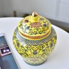 Ginger Jar Decorative Jar Ancient Chinese Imperial Enamel Porcelain (Small,