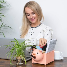 Made Easy Kit Desk Organizer, 1-5 Module Compartments - Storage for Stationery Supplies, Accessories, brushes - Home, Office, School, Dorm, Studio - Build in Pen & Pencil Holder (Pink Pig)