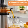 Juice Strainer for Nama J2 Cold Press Juicer, Fine Mesh
