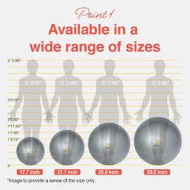 PRIMASOLE Yoga & Exercise Ball for Balance Stability Fitness Workout Pilates at Home Office & Gym with Inflator Pump. (21.7 inch Silver Gray) PSS91NH061A