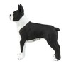 Safari Ltd. | Boston Terrier | Best in Show Collection