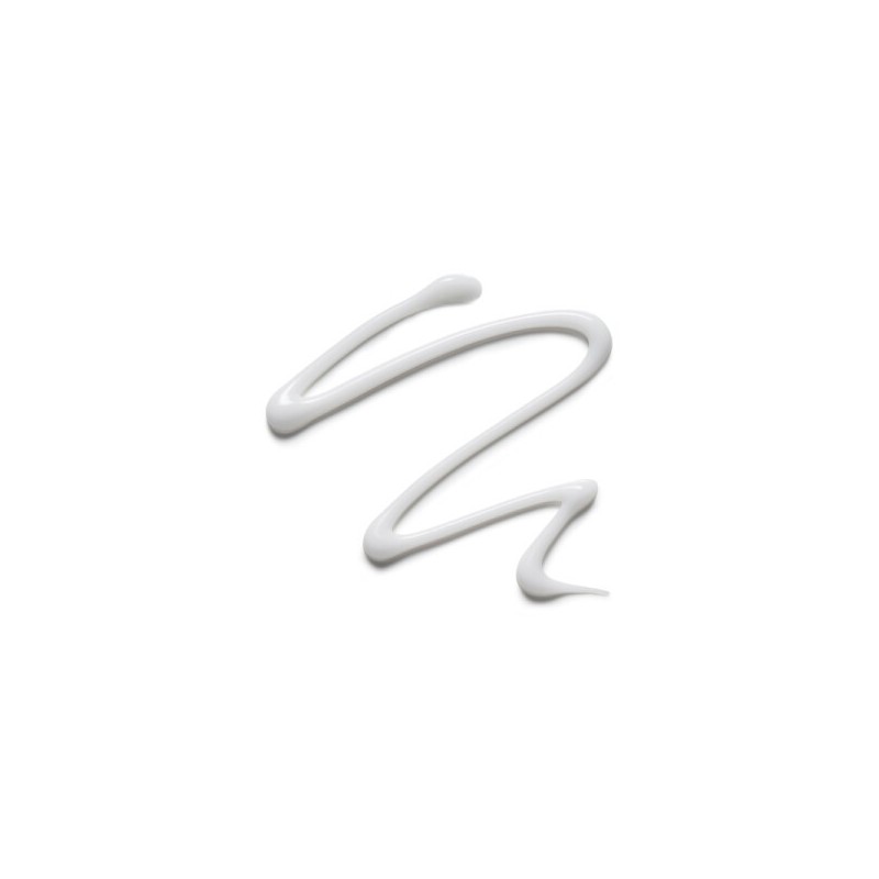 Estée Lauder 에스티로더 더블웨어 스무스 앤 블러 프라이머 Estée Lauder