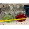 W- Ckip New Glass storage jars with lids 72fl oz