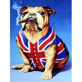 Shawprint Bulldog Union Jack British, Retro Metal Fridge Magnet, 100mm x 75mm, Novelty Gift
