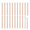 20 Pcs Copper Nails for Killing Trees, Stumps & -