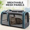 JTPAWS Foldable Expandable Soft-Sided Pet Carrier Bag for Cats &