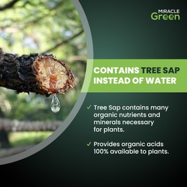 Miracle Green Fast-Acting Liquid Plant Food - Special Formula with Tree Sap & Yucca Plant Extract - All-Purpose Fertilizer for Houseplants, Flowers, Fruits, Vegetables & Trees (8 oz)