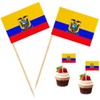 100 Pcs Ecuador Toothpick Flag Ecuadoran Small Mini Cocktail Fruit