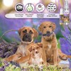 The Blissful Dog Three Cute Puppies Relax Roll-ON Aromatherapy for