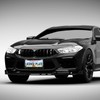 Black Leopard Print License Plate Frames - 2 Pack Animal