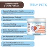 Holy Pets 100% Pure L-Lysine Powder for Cats – No