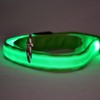 Generic Pet Led Dog Glow in Dark Adjustable Luminous Collar