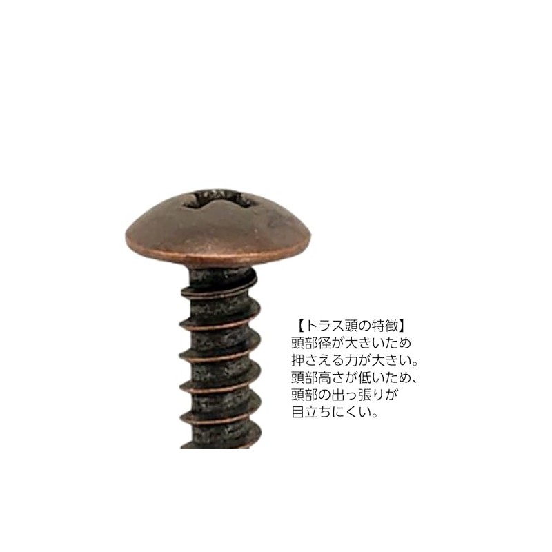 Daido Hunt Bronze Tapping Screw, Truss Head (Diameter: d) 0.1