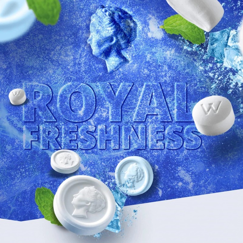 Wilhelmina Peppermints Dutch Confectionery Gift Tin 1.1 Pound Dutch Candy