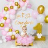 Onederful 1st Birthday Girl Birthday Party Theme Backdrop Sticker Decorations