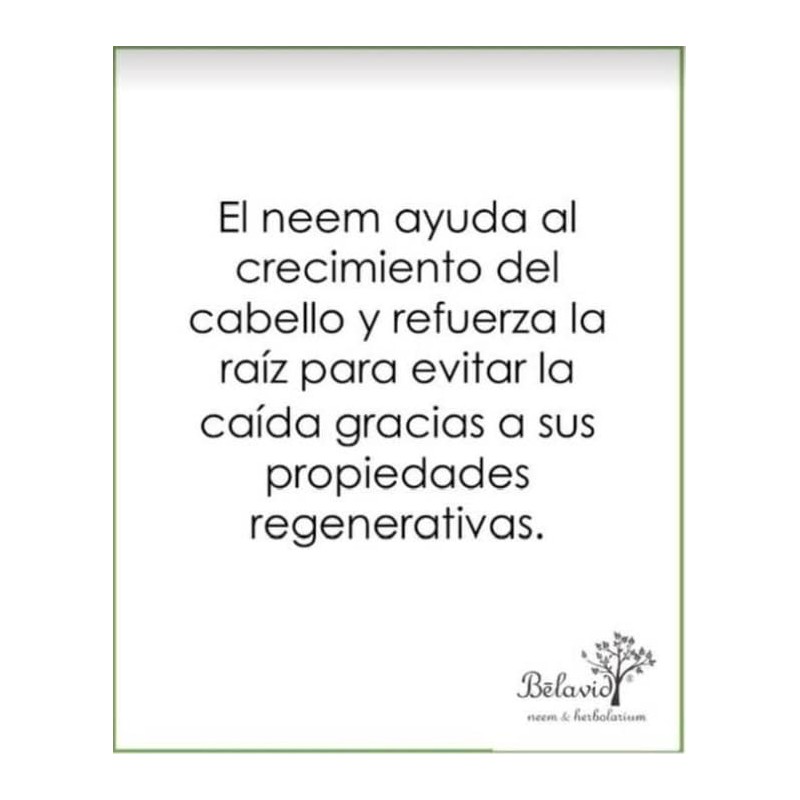 Shampoo Control Caída y Acondicionador Reparador Neem