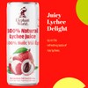 ELEPHANT WORLD 100% Natural Juices | Assorted Superfruits | Soursop-Mango-Guava-Lychee