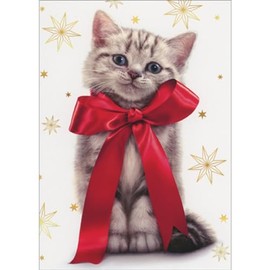 Avanti Press Gray Kitten Wearing Large Red Bow: Gold Snowflakes Cute Cat Christmas Card