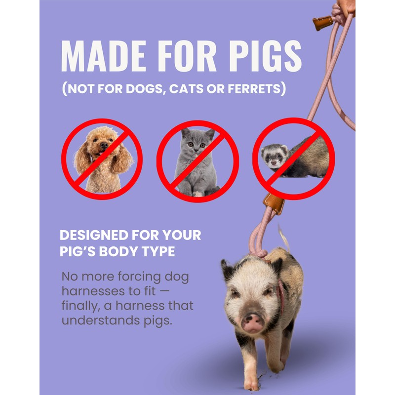 PORCINE® Mini Pig Harness & Leash (S/M) - Fully Adjustable,
