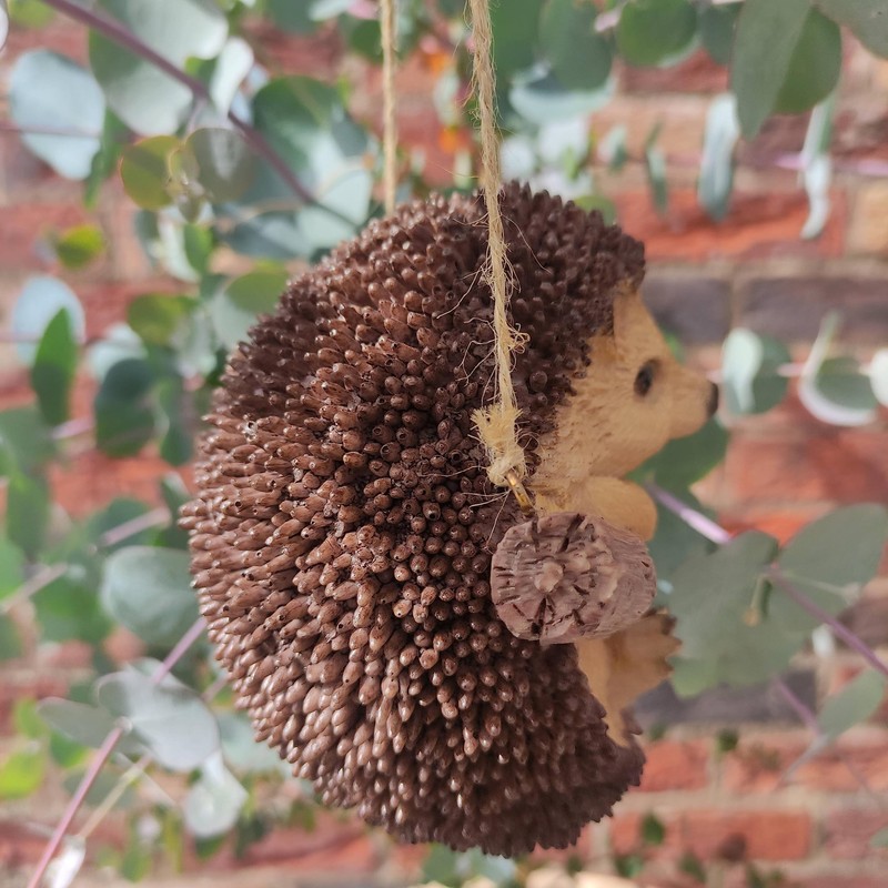 Vivid Arts Rocking Pet Pals Rocking Hedgehog, RP-HHOG-F