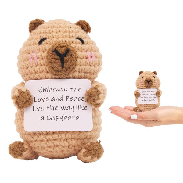 DXPETA Capybara Gifts, Positive Crochet Animals, Knitted Capybara Plush Toy,