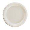 9" Ivory plastic plates (10)