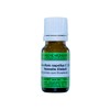 Aconitum napellus C200 Globules, 10 g Globules