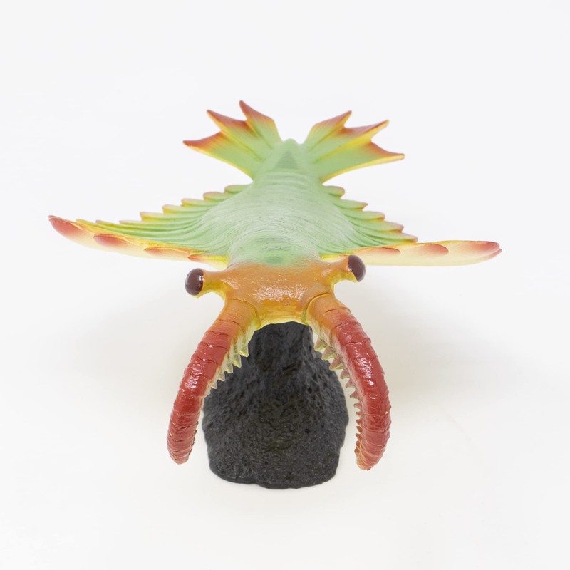 anomalocaris soft model (fp-009)