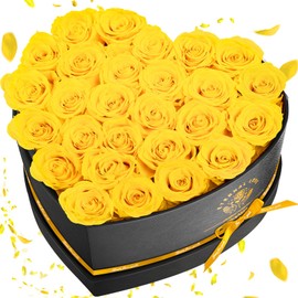 Impouo Preserved Rose in Heart Shape Box, 27 Forever Flowers, Eternal Roses, Birthday Gifts for Women, Her, Wife Mother's Day, Yellow