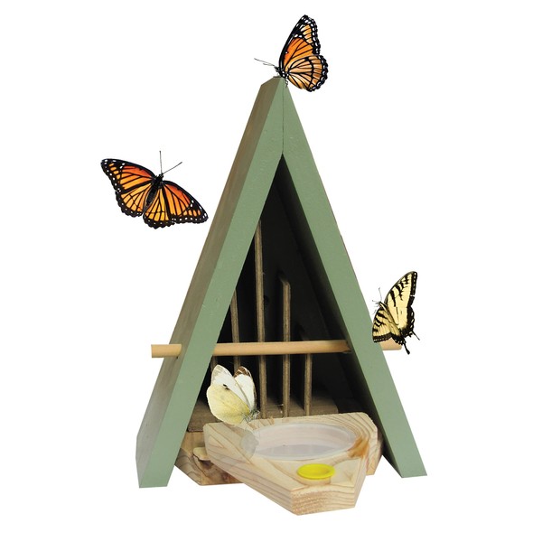 Wildlife World Butterfly House and Feeder - Natural Habitat to Attract Butterflies to Your Garden (Blue)