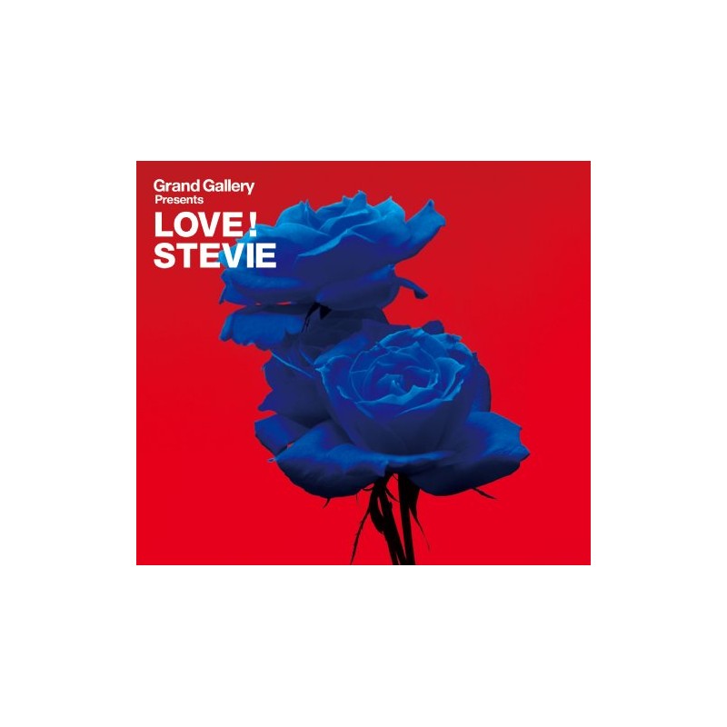 Grand Gallery presents LOVE! STEVIE